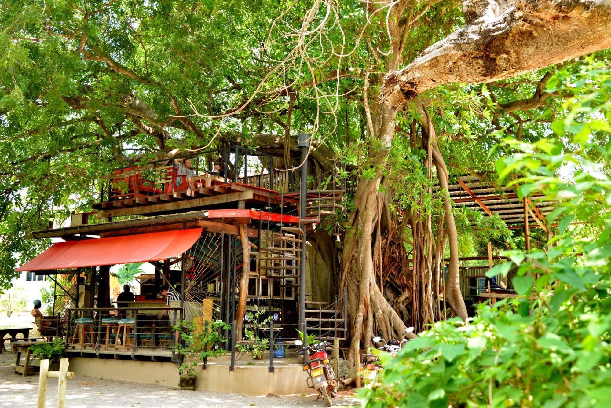 קיליפי Mnarani Beach Club מראה חיצוני תמונה